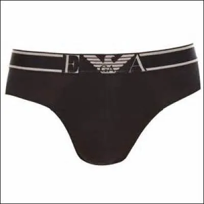 Associez le bon mot à "trunks".