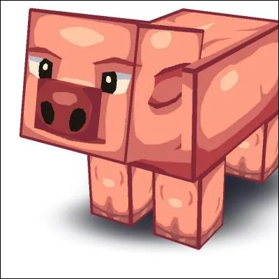 Comment s'appelle son cochon ?