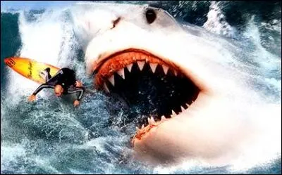 En 1954, un navire a été mordu au sud de l'Australie : le demi-cercle de l'impact des dents mesurait 2 mètres de diamètre et on trouva des dents plantées de 10 cm de long sur 8 de large à la base. Cette morsure a pu avoir été causée par un requin préhistorique géant :