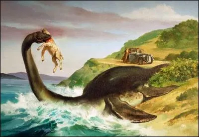 Le monstre du Loch Ness ou Nessie n'est pas observé seulement dans le Loch Ness. Il s'agit d'un animal marin, surtout vu dans les océans. Il est généralement décrit comme ressemblant à un serpent de mer ou à un reptile marin de la famille des :