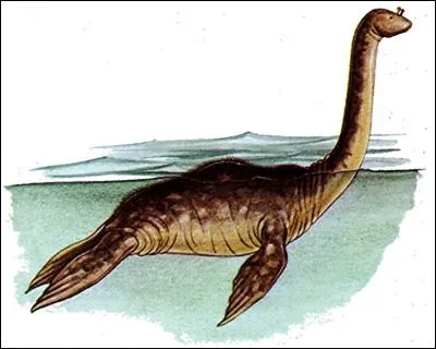 Selon certains spécialistes, il serait en réalité un mammifère aquatique. Une sorte de :