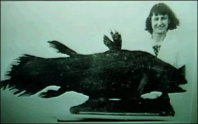 Le coelacanthe, un poisson osseux vivant, a été identifié par la science en 1938. Avant sa découverte, les scientifiques pensaient que les derniers membres de cette famille avaient disparu il y a environ :