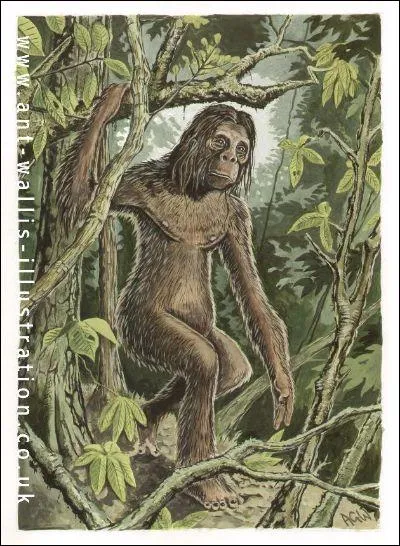 Un autre cousin bipède du yéti mais plus petit serait signalé dans les îles de Sumatra en Indonésie. Comment est-il appelé en Malaisie ?