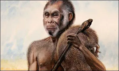 On a récemment découvert qu'un petit homme préhistorique, surnommé depuis « le hobbit », avait vécu autrefois sur une île voisine de Sumatra. Il s'agit de :