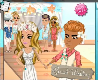 Le thème MSP change tous les (toutes les) :