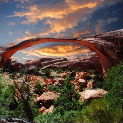 Je vous souhaite d'avoir réussi sans coup férir !