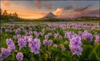 Et ensuite, je pourrai en faire des gorges chaudes !