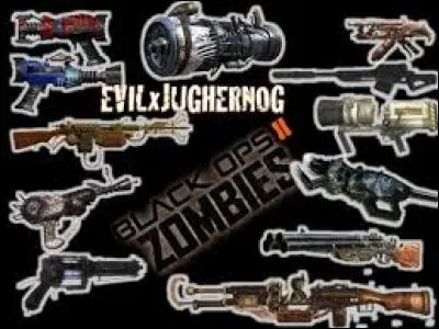 Laquelle de ces armes n'est pas apparue sur Call of Duty : Black Ops 2 ?