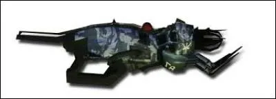 Comment se nomme cette arme et de quelle catégorie fait-elle partie ?