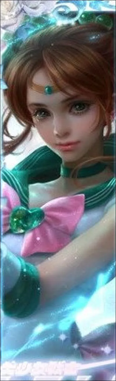 Qui est-ce ? (Sailor Moon)