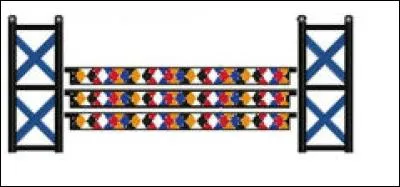 Cet obstacle se nomme :