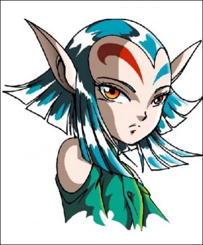 Comment se nomme l'elfe élémentaire qui a précédé Shimy ?