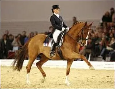 Le cheval sur la photo fait :