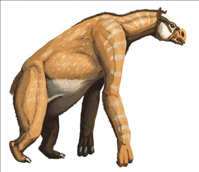 Ce mammifère a-t-il réellement existé ?