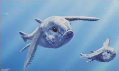 Ce poisson a-t-il réellement existé ?