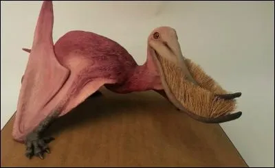 Ce reptile volant a-t-il réellement existé ?