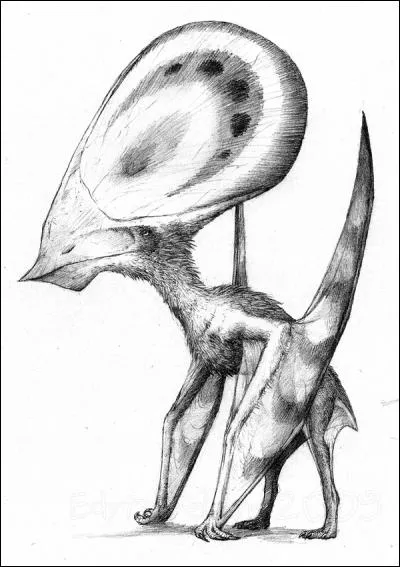 Ce reptile volant a-t-il réellement existé ?