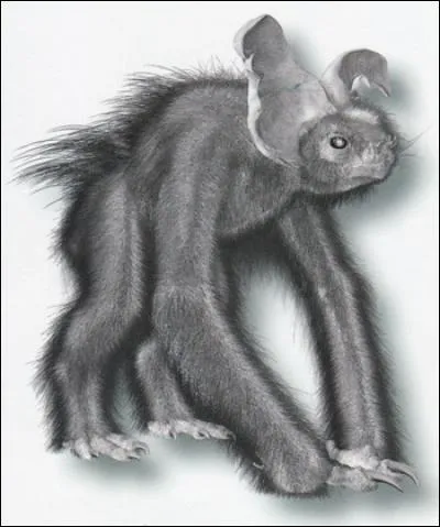 Ce mammifère a-t-il réellement existé ?