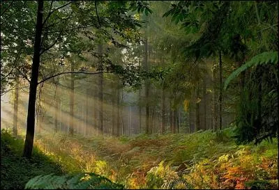 D'après ce même personnage, quel lieu pourrait apporter des réponses à Lana et à ses amis ?