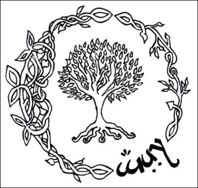 Marek révèle à Lana qu'elle possède des pouvoirs magiques. D'après lui, la jeune fille est une :