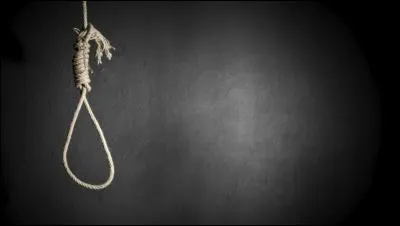 Comment peut-on qualifier la peine de mort ?