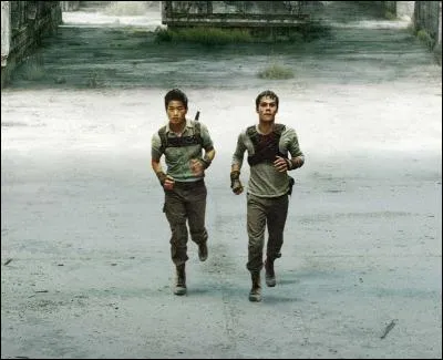 Comment s'appellent les personnes qui vont dans le labyrinthe pour trouver la sortie ?