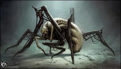 Comment s'appellent les monstres ?