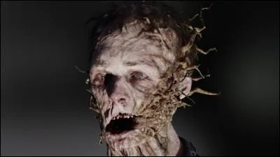 Pourquoi ces personnages sont-ils comme ça ?