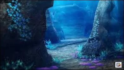 Comment s'appelle l'océan où se passent les aventures des Winx ?