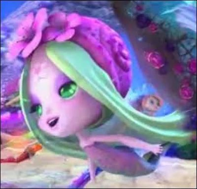 A qui appartient cette Selkies ?