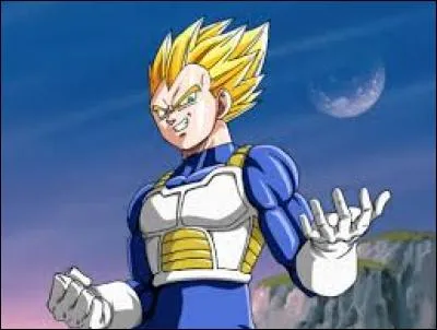 Vegeta est le Prince la Terre.