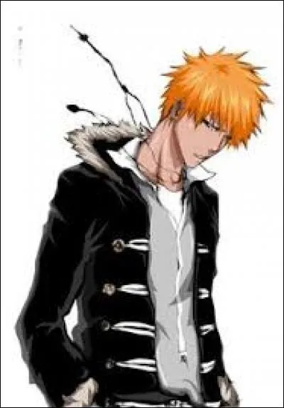 Dans quel manga Ichigo est-il ?