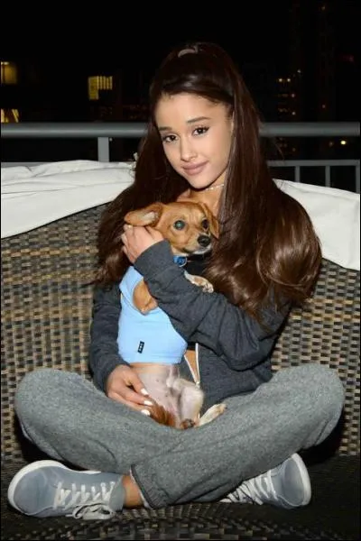 Ariana aime tellement les animaux qu'elle a...