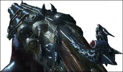 Quel est le nom de cette arme ?