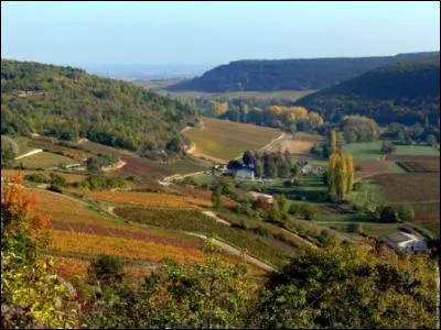 Le numéro 20 est le code de la Côte-d'Or.