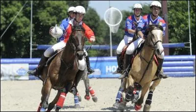 L'équipe de France de horse-ball a gagné tous les championnats d'Europe de horse-ball depuis la création de l'épreuve en 1992 (le dernier en 2009) : Vrai ou faux?