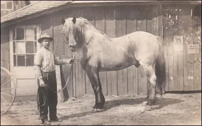 Quel record détient Sampson ?