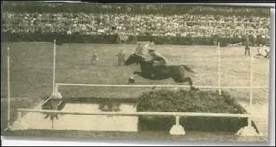 Quel est le record de saut d'obstacle en longueur ?