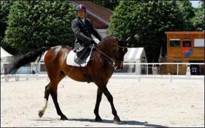 Quelle est cette discipline &eacute;questre?