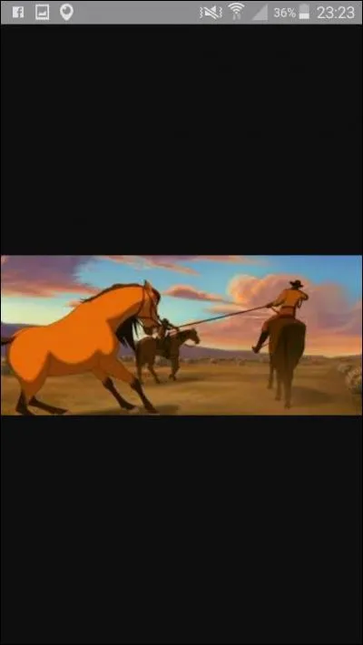 Comment Spirit s'est-il fait capturer ?