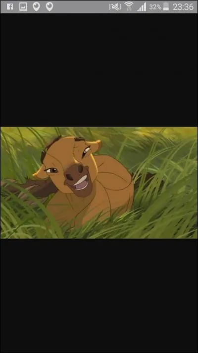 À quelle race de chevaux Spirit appartient-il ?