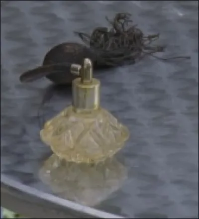 Quelle est la substance à l'odeur nauséabonde pour tout le monde, mais qui est totalement irrésistible pour les sirènes ?