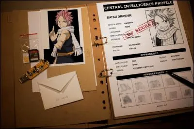 Qui est réellement Natsu ?