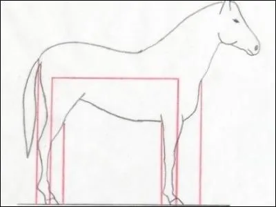 Comment s'appelle le trait rouge sur l'image ?