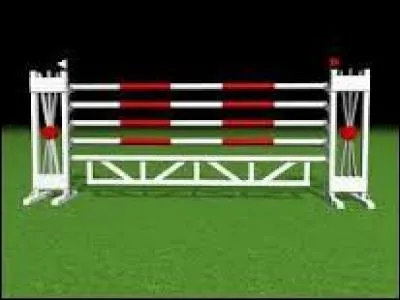 Quel est le nom de cet obstacle ?