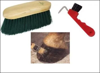 Qu'est-ce qui n'est pas obligatoire dans le pansage complet ?