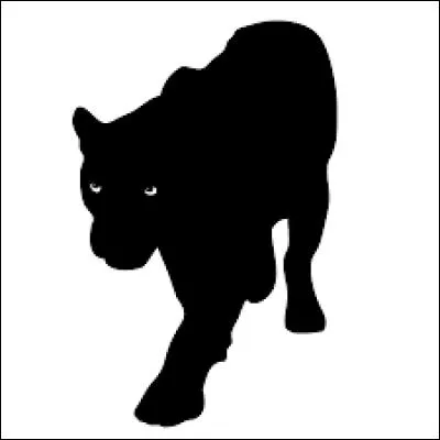 Quelle marque de peinture a une panthère noire comme logo ?