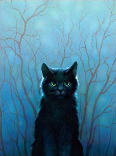 Quel est son nom complet?