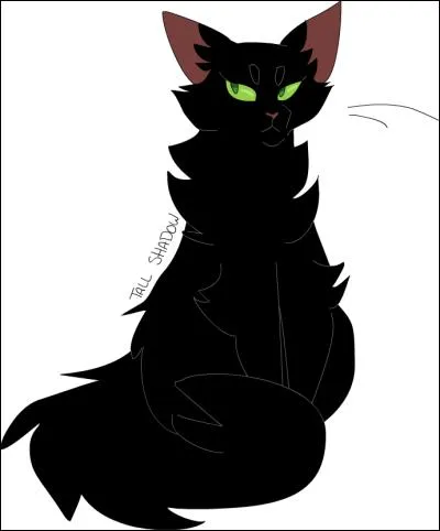 Quel est son physique?