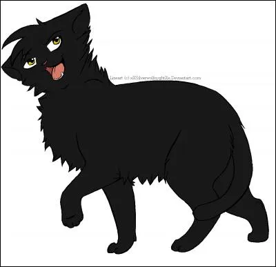 Quel est son caractère?